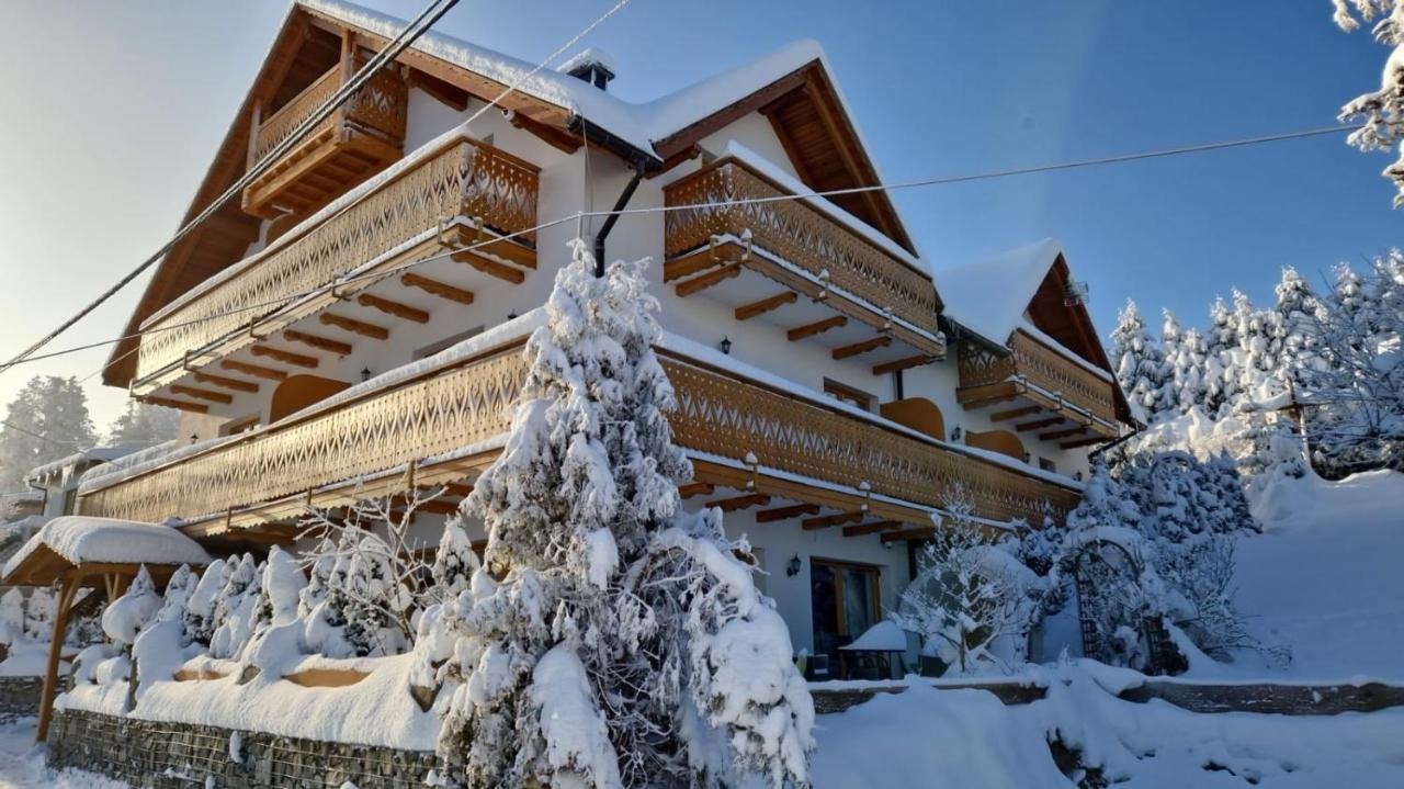 Rezydencja Nad Potoczkiem Wisla Ngoại thất bức ảnh