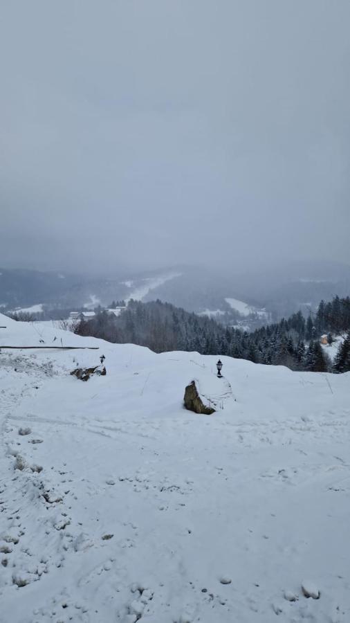Rezydencja Nad Potoczkiem Wisla Ngoại thất bức ảnh